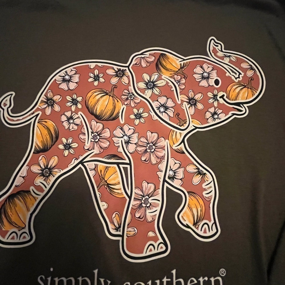 Simply Southern Fall Elephant “Conserve and Protect” Size XXLarge. Brown - Picture 3 of 4